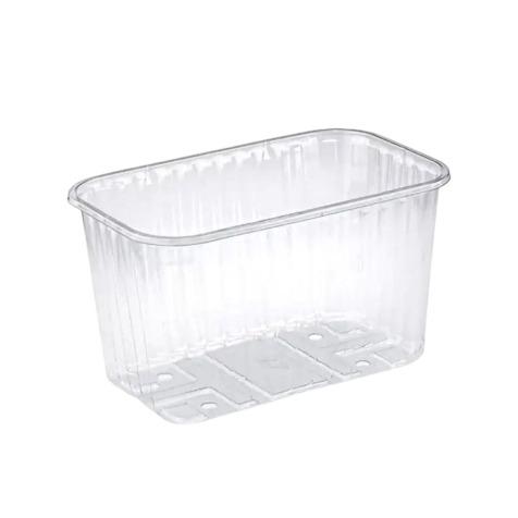 Одноразовий контейнер для ягід 1000/480РЕТ 190*115*110 (1670мл) (800шт/ящ) 13г